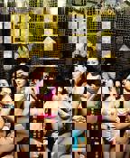 鸭王免费在线观看全集