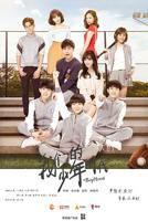 我的少年时代2024第01集在线观看-电视剧-