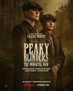 《浴血黑帮第六季》全集在线观看-电视剧