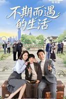 《不期而遇的生活》全集在线免费观看高清完整版_电视剧