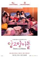 电影《雌猫们》HD中字版在线观看,高清完整版日本剧