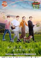 《向往的生活第二季》免费在线观看最新一期