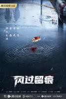 电视剧《风过留痕》在线免费全集完整版观看